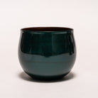 Cherry cups | Umami Square