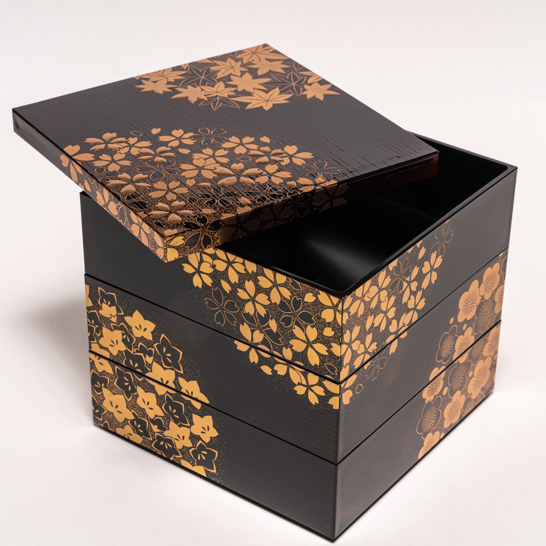 japanese food bento box| Umami Square